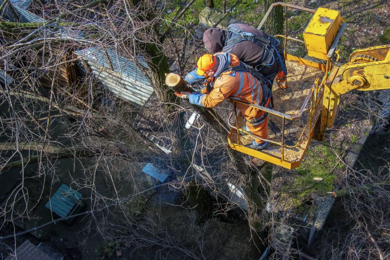 Easement Tree Removal
