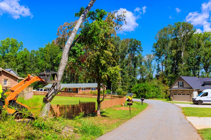 Easement Tree Removal