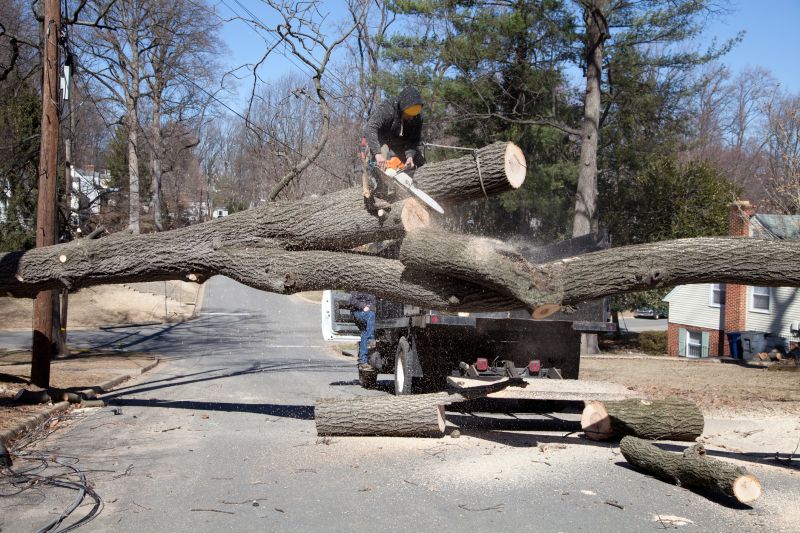 Easement Tree Removal